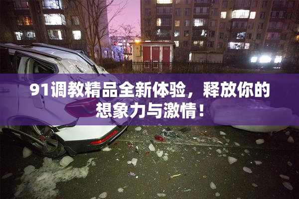 91调教精品全新体验，释放你的想象力与激情！