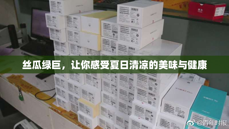 丝瓜绿巨，让你感受夏日清凉的美味与健康