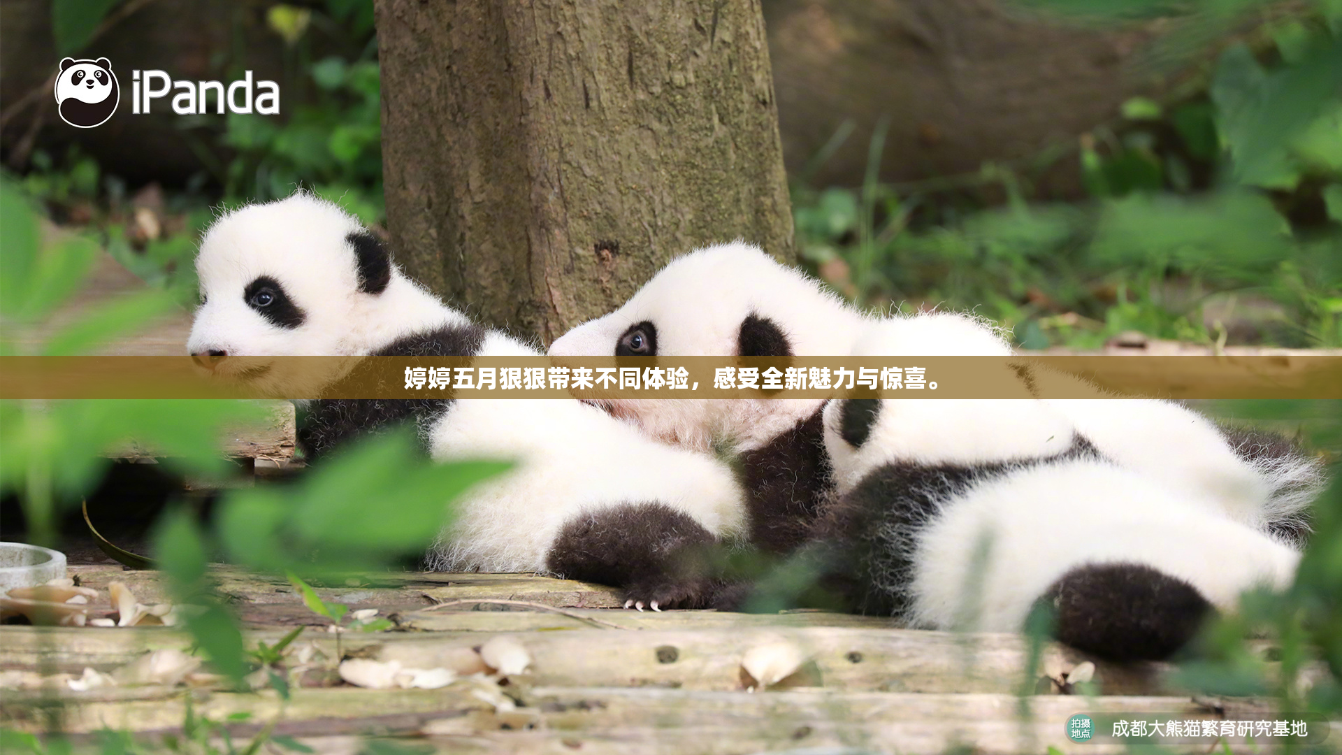 婷婷五月狠狠带来不同体验，感受全新魅力与惊喜。