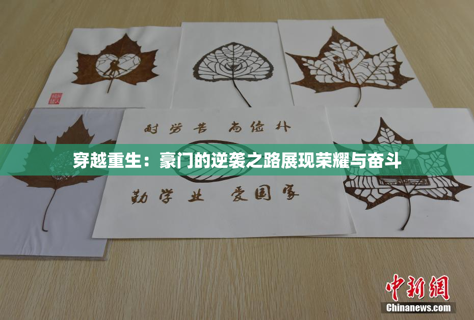 穿越重生：豪门的逆袭之路展现荣耀与奋斗