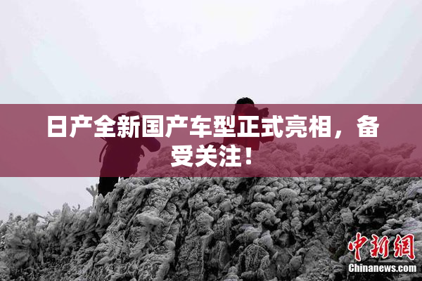 日产全新国产车型正式亮相，备受关注！