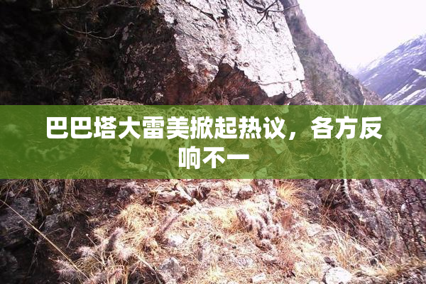 巴巴塔大雷美掀起热议，各方反响不一