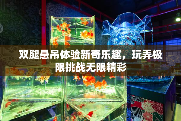 双腿悬吊体验新奇乐趣，玩弄极限挑战无限精彩