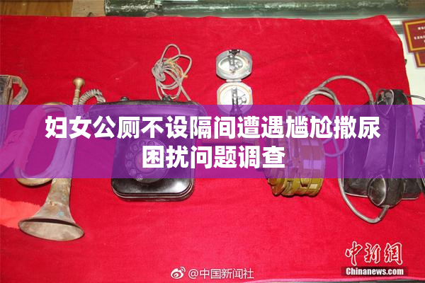 妇女公厕不设隔间遭遇尴尬撒尿困扰问题调查