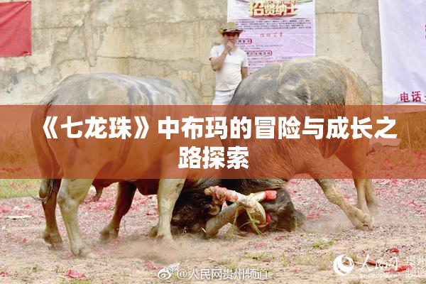 《七龙珠》中布玛的冒险与成长之路探索