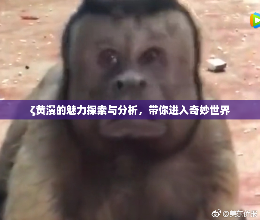ζ黄漫的魅力探索与分析，带你进入奇妙世界