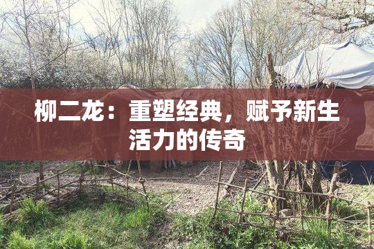 柳二龙：重塑经典，赋予新生活力的传奇