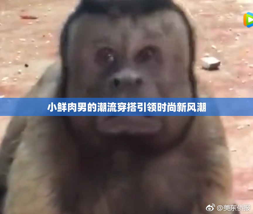 小鲜肉男的潮流穿搭引领时尚新风潮