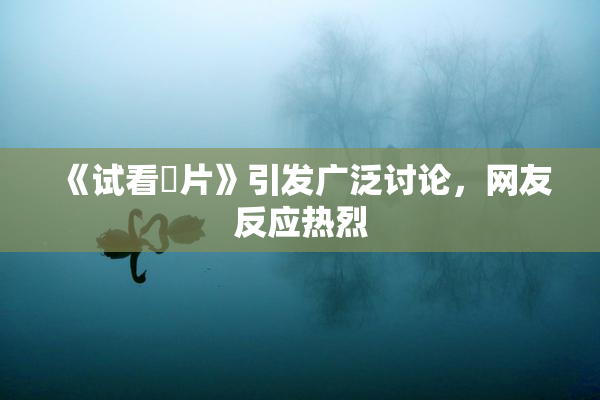 《试看婬片》引发广泛讨论，网友反应热烈