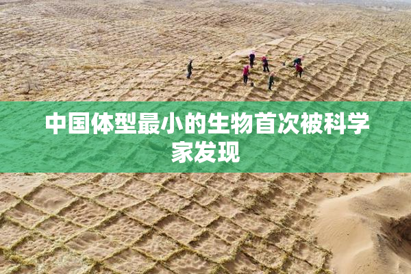 中国体型最小的生物首次被科学家发现