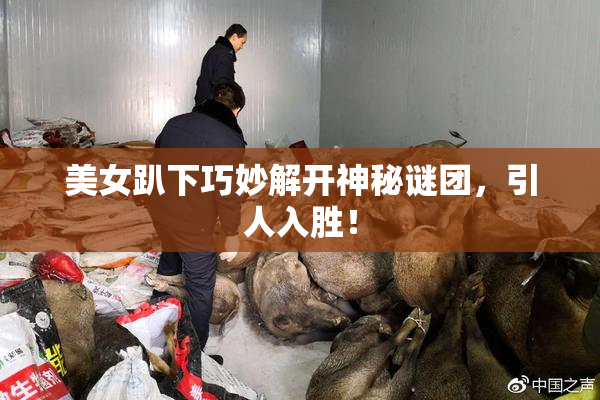 美女趴下巧妙解开神秘谜团，引人入胜！