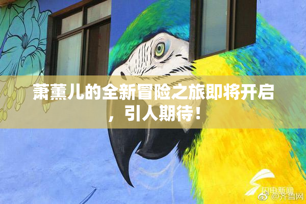 萧薰儿的全新冒险之旅即将开启，引人期待！