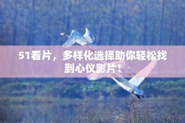 51看片，多样化选择助你轻松找到心仪影片！