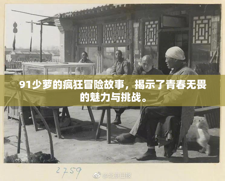 91少萝的疯狂冒险故事，揭示了青春无畏的魅力与挑战。