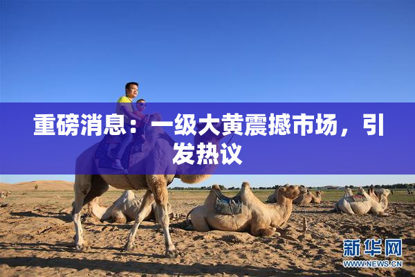 重磅消息：一级大黄震撼市场，引发热议