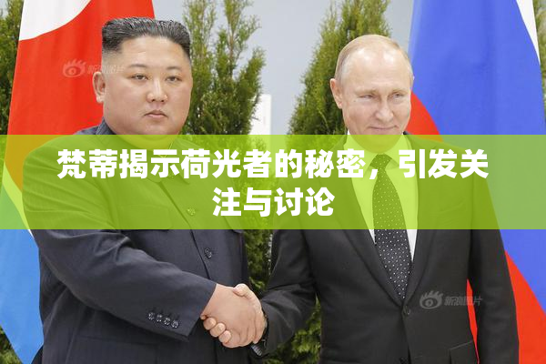 梵蒂揭示荷光者的秘密，引发关注与讨论