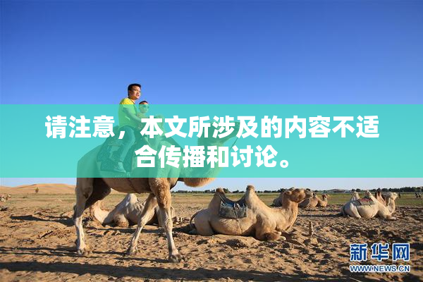请注意，本文所涉及的内容不适合传播和讨论。