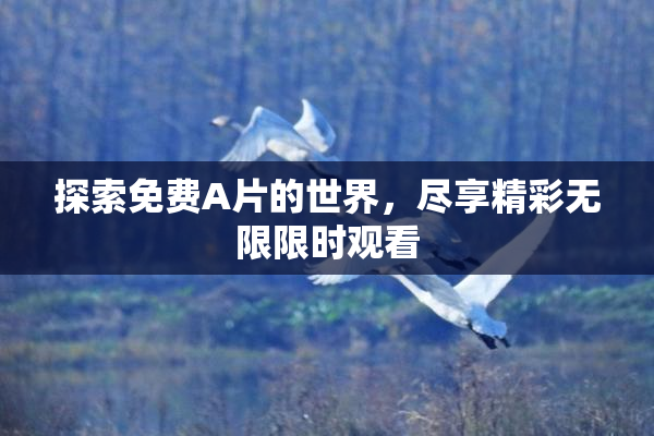 探索免费A片的世界，尽享精彩无限限时观看