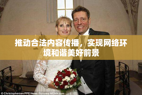 推动合法内容传播，实现网络环境和谐美好前景