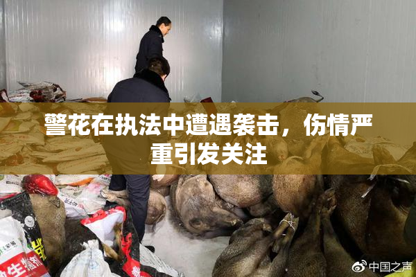 警花在执法中遭遇袭击，伤情严重引发关注