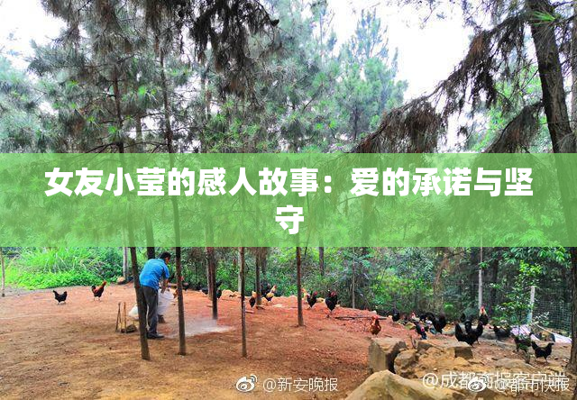 女友小莹的感人故事：爱的承诺与坚守