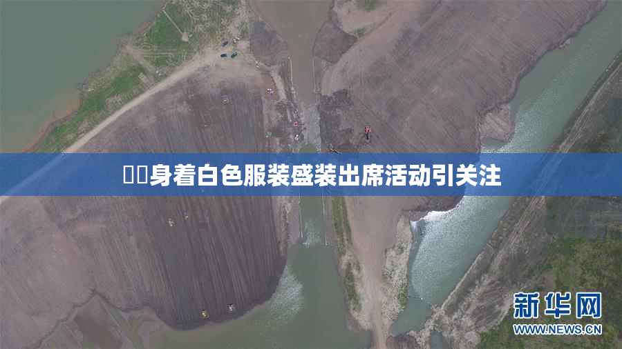 妺妺身着白色服装盛装出席活动引关注