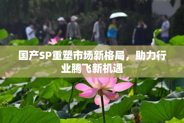 国产SP重塑市场新格局，助力行业腾飞新机遇