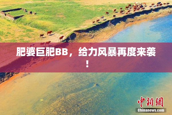 肥婆巨肥BB，给力风暴再度来袭！
