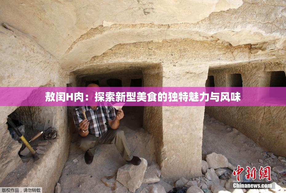 敖闰H肉：探索新型美食的独特魅力与风味