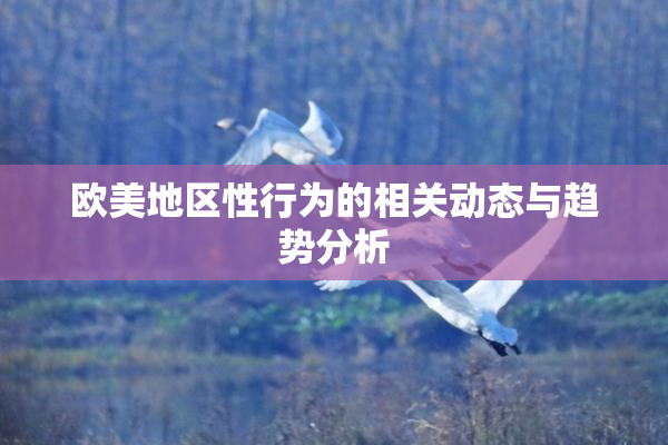 欧美地区性行为的相关动态与趋势分析