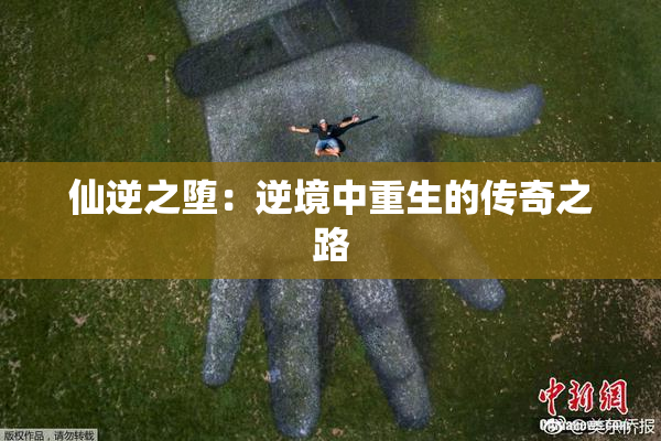 仙逆之堕：逆境中重生的传奇之路