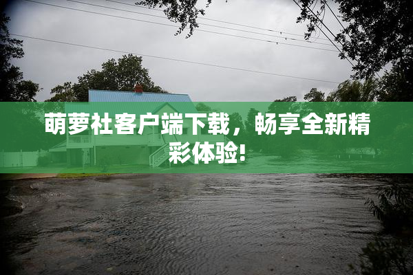 萌萝社客户端下载，畅享全新精彩体验!