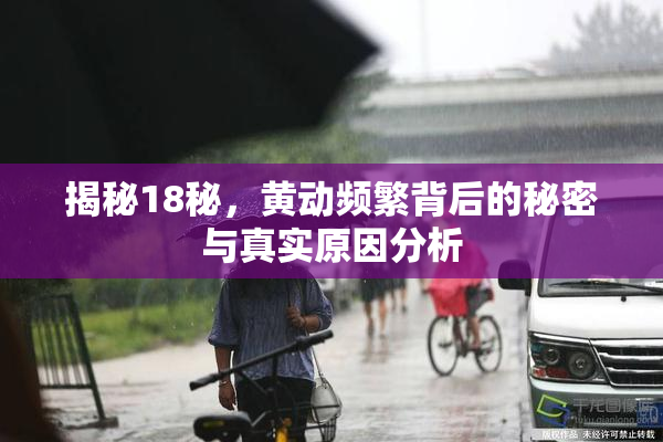 揭秘18秘，黄动频繁背后的秘密与真实原因分析