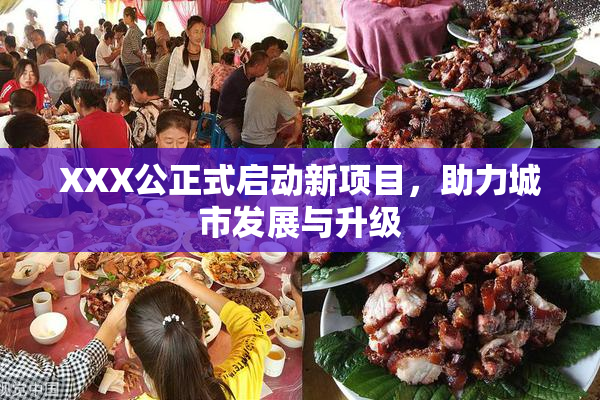XXX公正式启动新项目，助力城市发展与升级