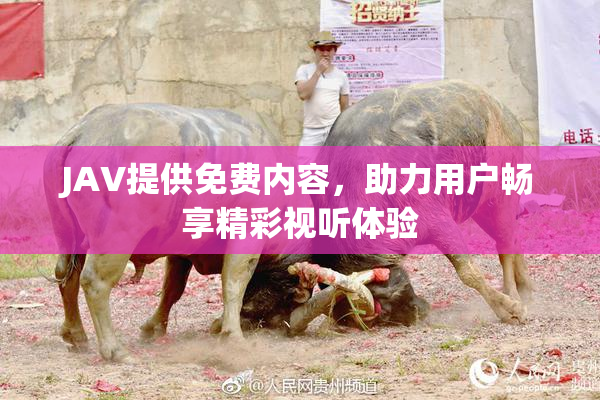 JAV提供免费内容，助力用户畅享精彩视听体验