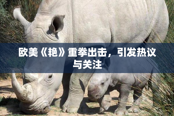 欧美《艳》重拳出击，引发热议与关注