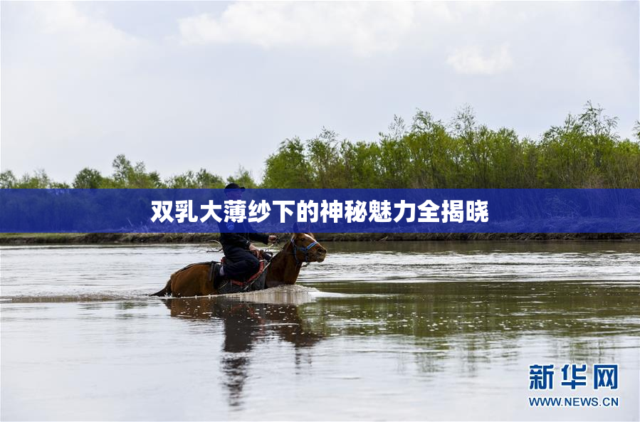 双乳大薄纱下的神秘魅力全揭晓