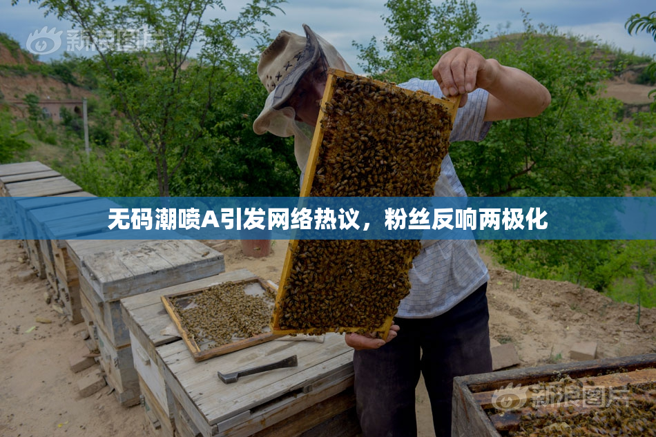 无码潮喷A引发网络热议，粉丝反响两极化