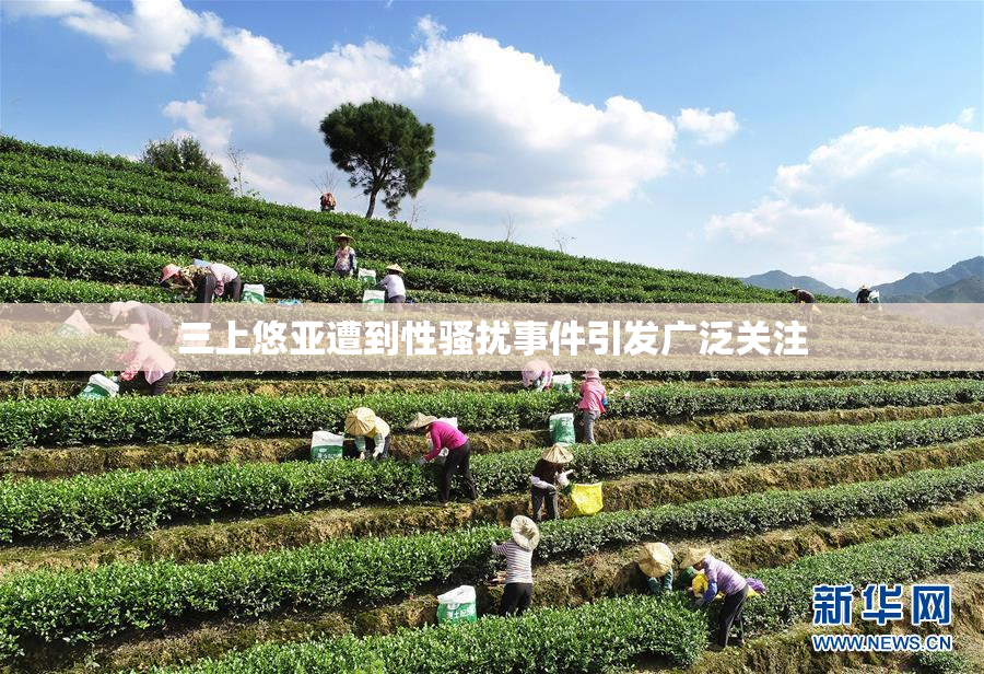 三上悠亚遭到性骚扰事件引发广泛关注