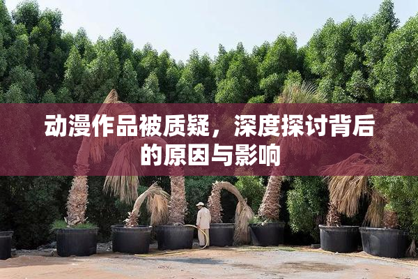 动漫作品被质疑，深度探讨背后的原因与影响