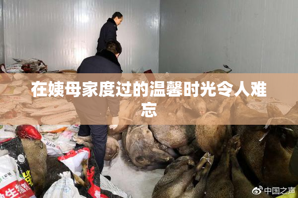 在姨母家度过的温馨时光令人难忘