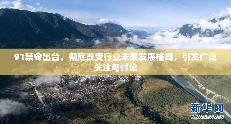 91禁令出台，彻底改变行业未来发展格局，引发广泛关注与讨论