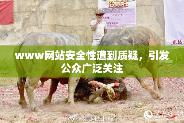 www网站安全性遭到质疑，引发公众广泛关注