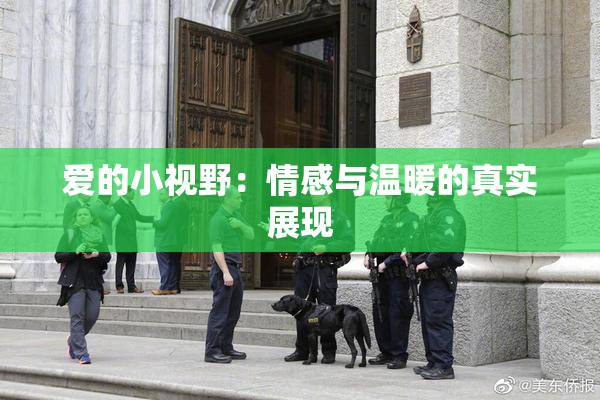 爱的小视野：情感与温暖的真实展现
