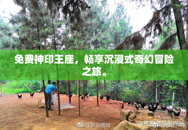 免费神印王座，畅享沉浸式奇幻冒险之旅。