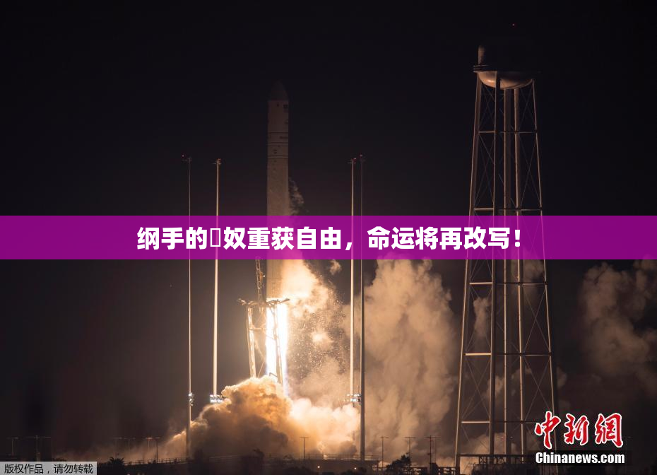 纲手的婬奴重获自由，命运将再改写！