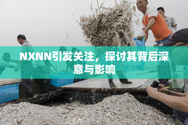 NXNN引发关注，探讨其背后深意与影响
