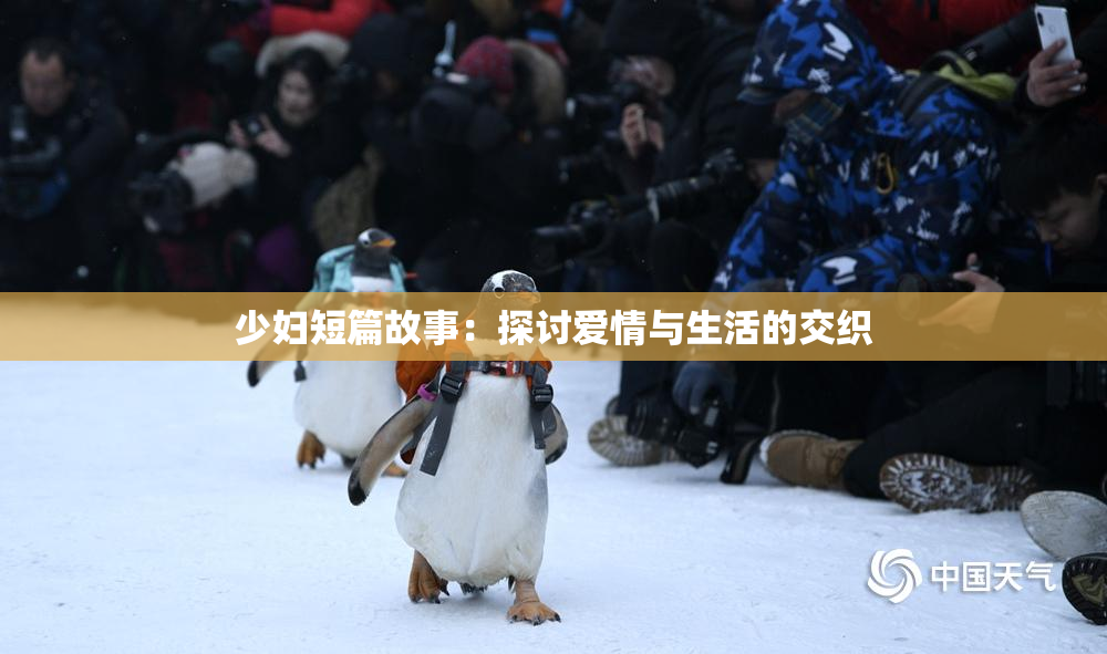 少妇短篇故事：探讨爱情与生活的交织