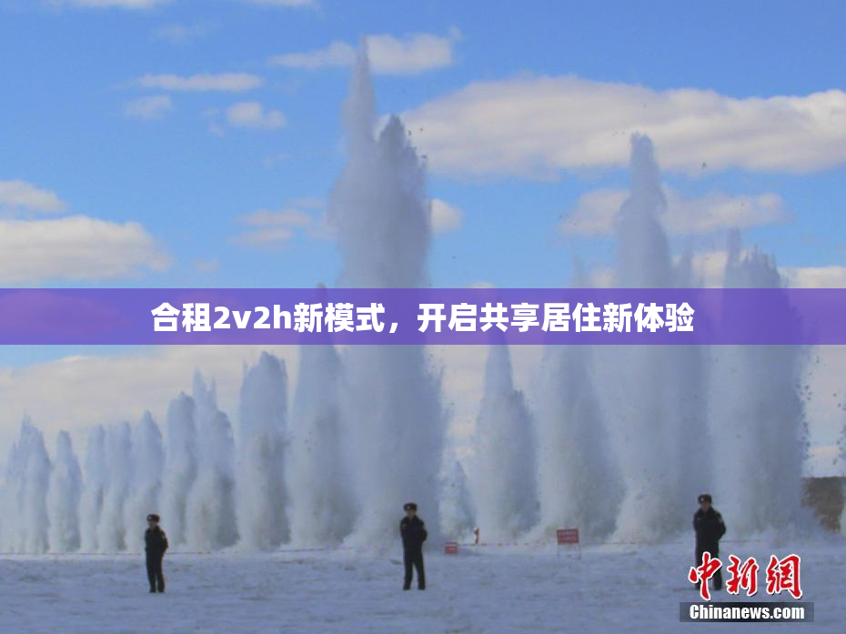 合租2v2h新模式，开启共享居住新体验