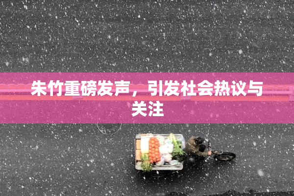 朱竹重磅发声，引发社会热议与关注